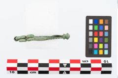 Foto von Bronzeschlangenfibel (NHMW-PRAE-023924)